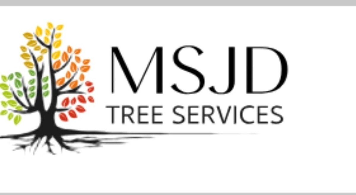 Images MSJD Tree Services
