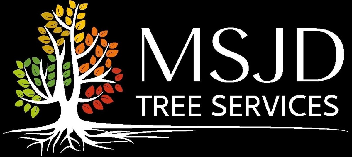 Images MSJD Tree Services