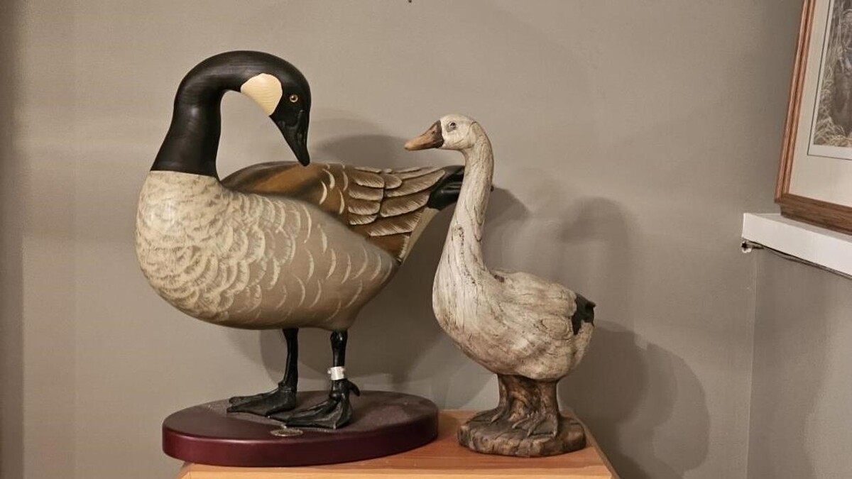 Images Kelowna Estate Liquidation