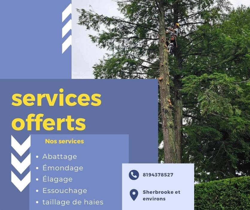 Images Taillage De Haies Miguel Bedard