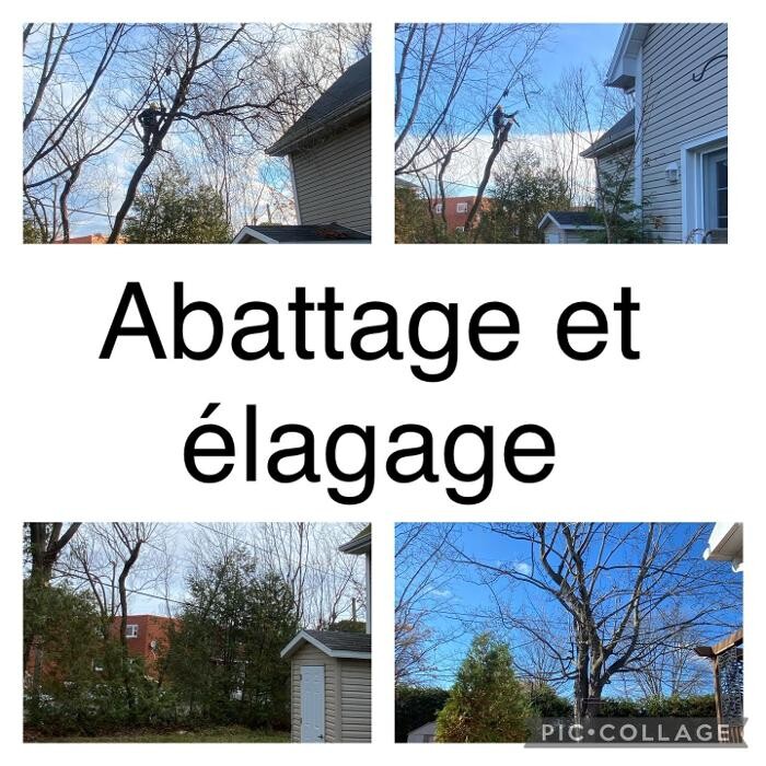 Images Taillage De Haies Miguel Bedard