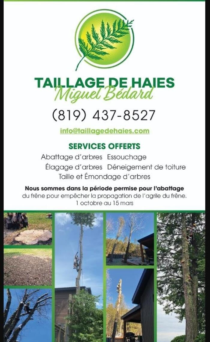 Images Taillage De Haies Miguel Bedard
