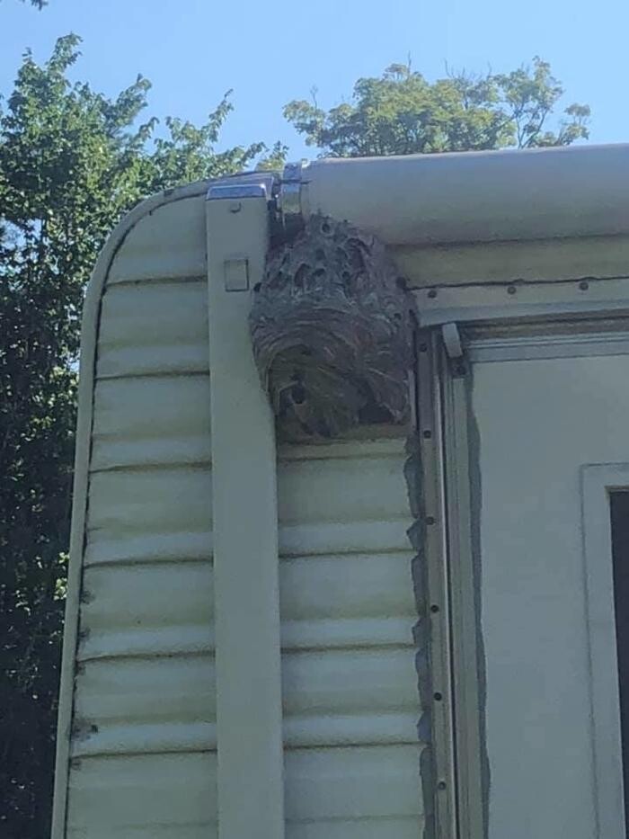 Images Alliance Pest Control Services