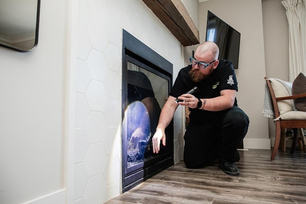 Images Armoured Pest Control