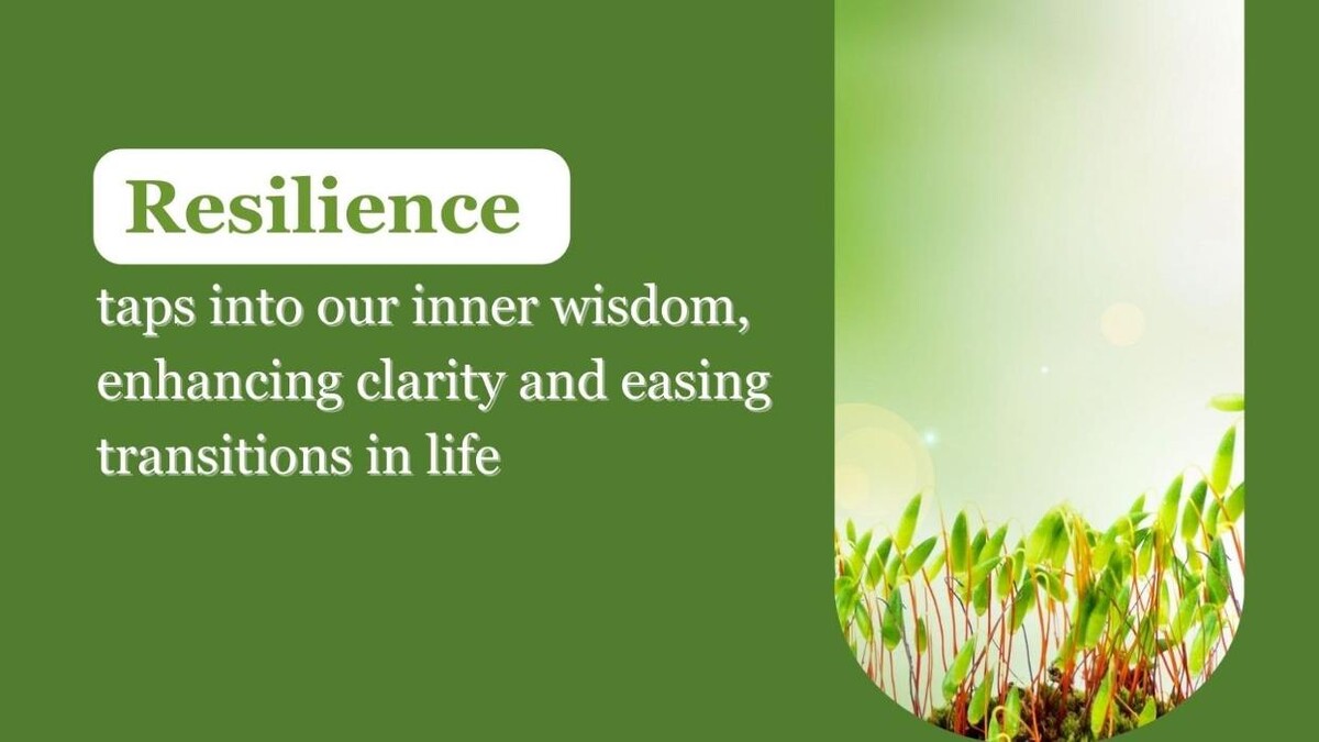 Images Resilience Counseling Research & Consultation
