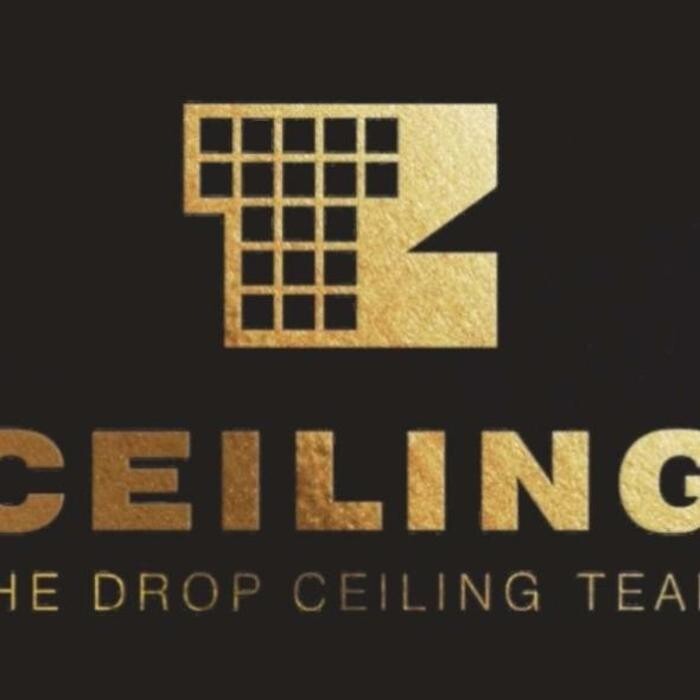TZ Ceiling - Drop Ceiling Team Logo