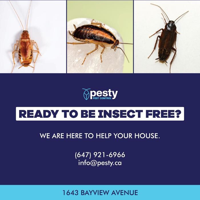 Images PESTY Pest Control