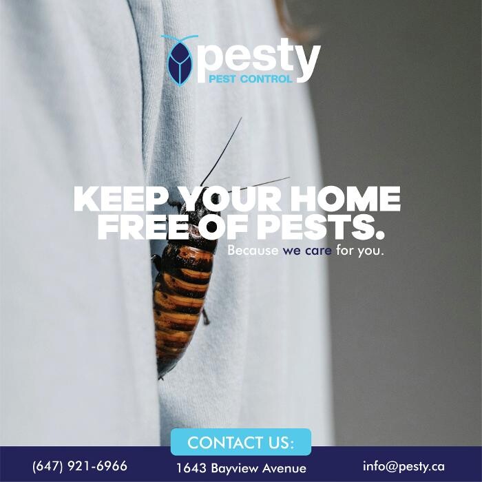 Images PESTY Pest Control