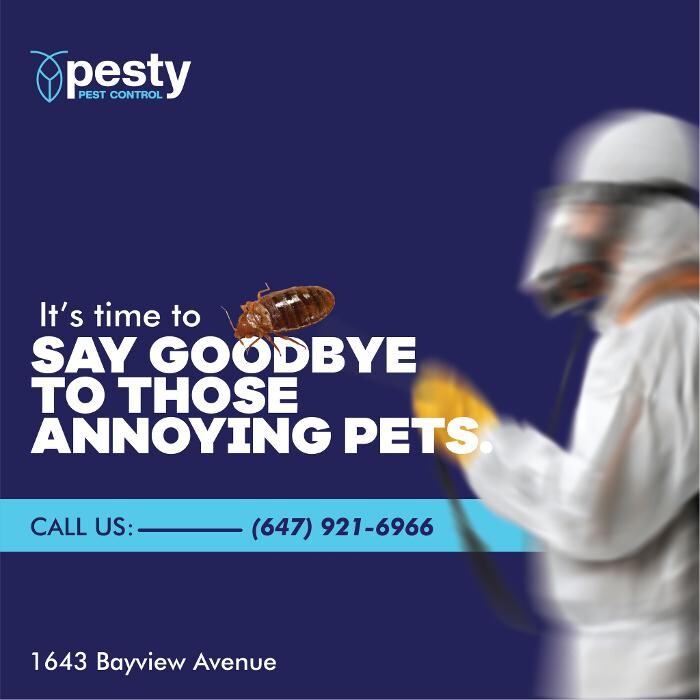 Images PESTY Pest Control