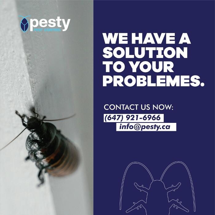 Images PESTY Pest Control