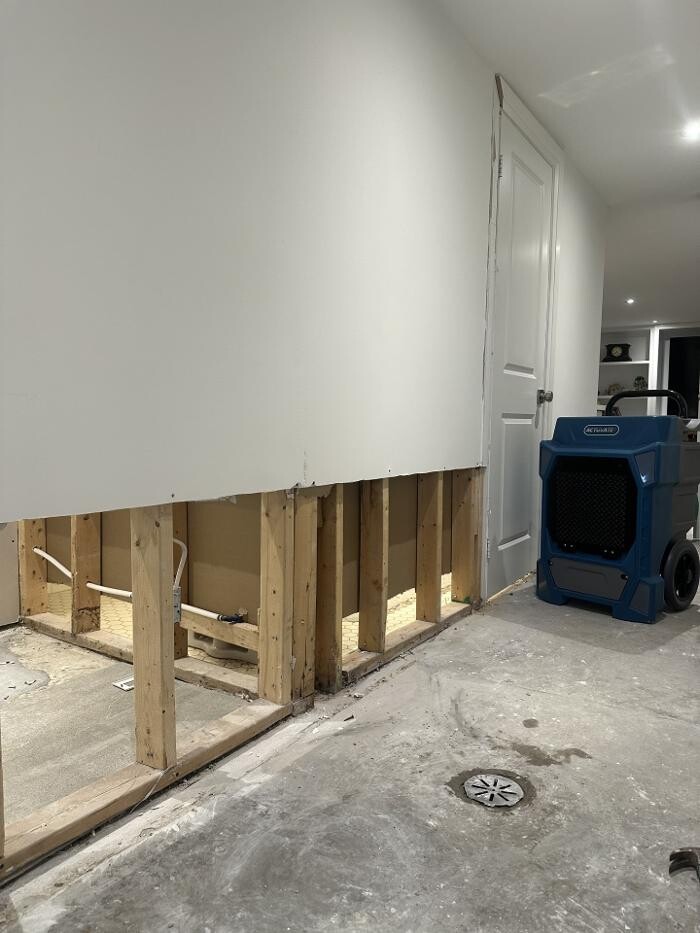 Images Vision Works Project Inc