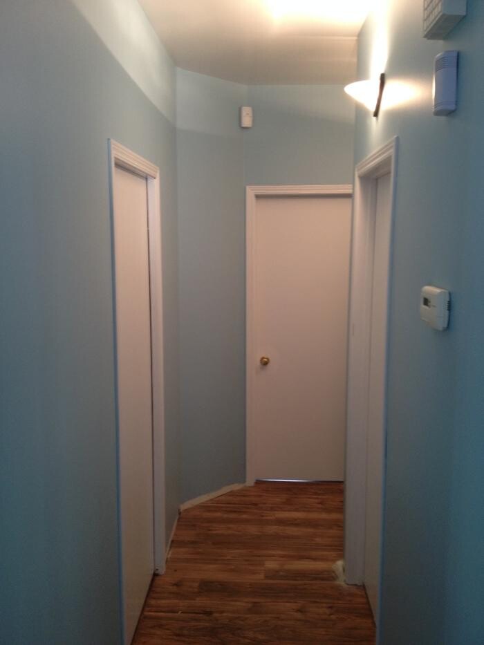 Images Macey Painting