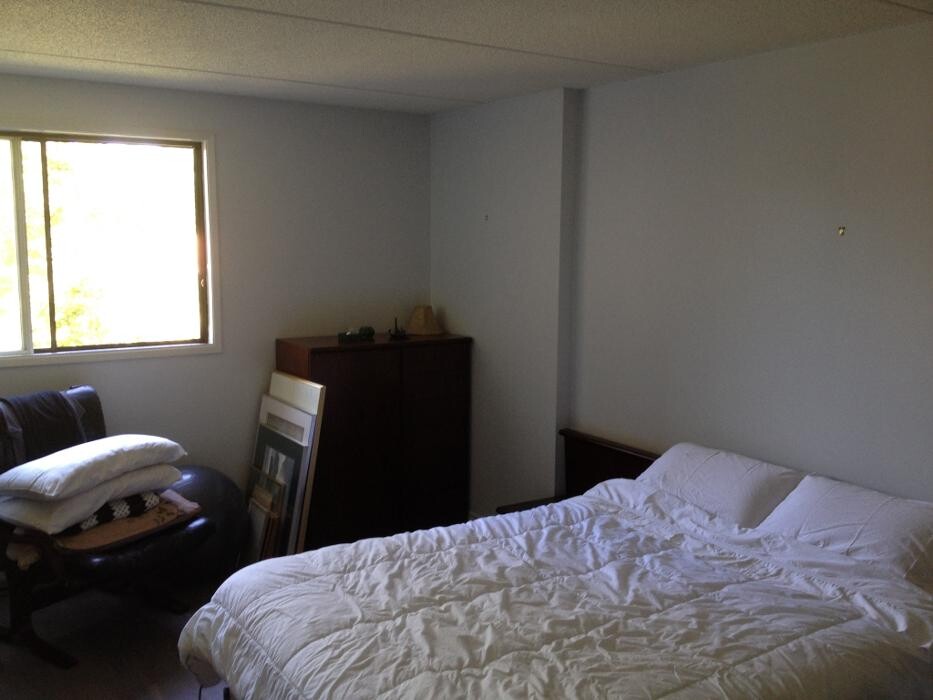 Images Macey Painting