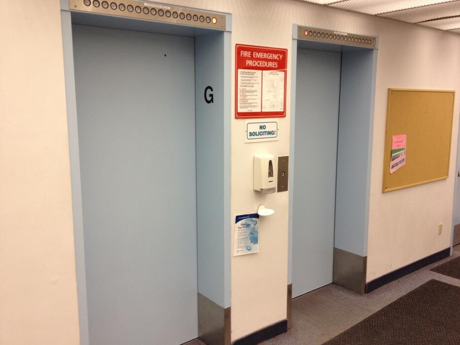 Images Macey Painting