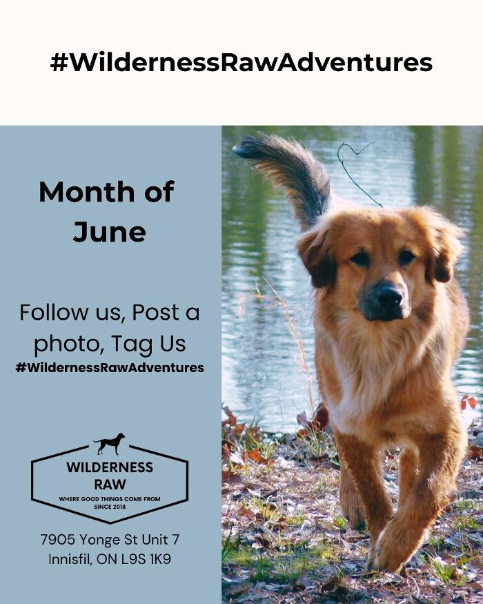 Images Wilderness Raw