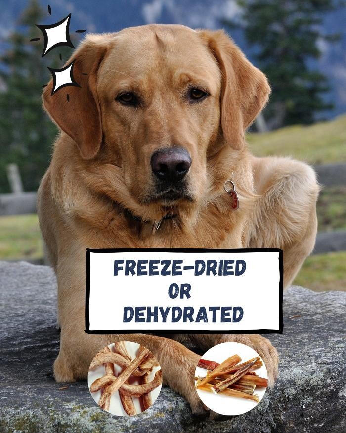 Images Wilderness Raw