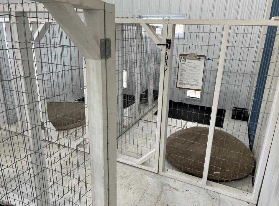 Images Critter's Corner Dog Boarding