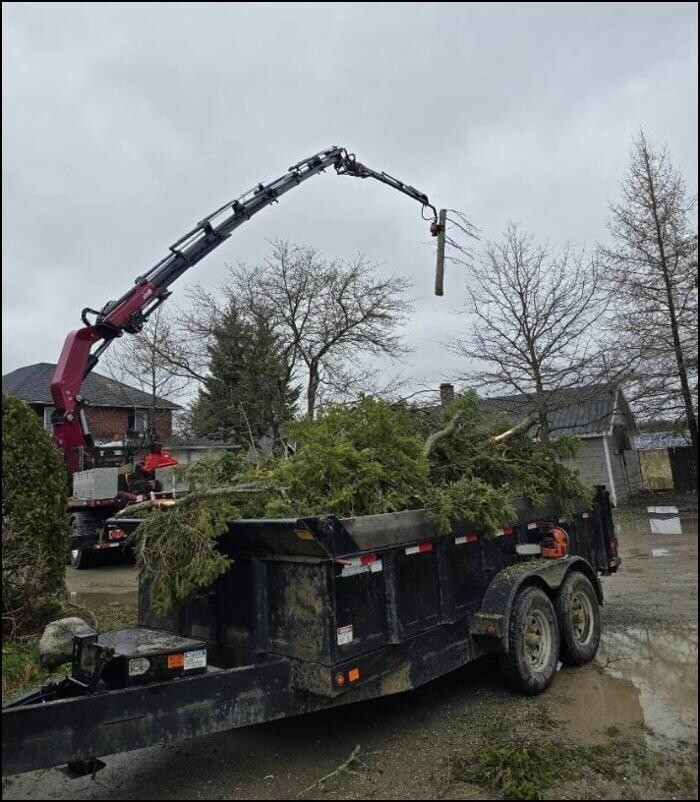 Images Great Lakes Tree and Crane Service