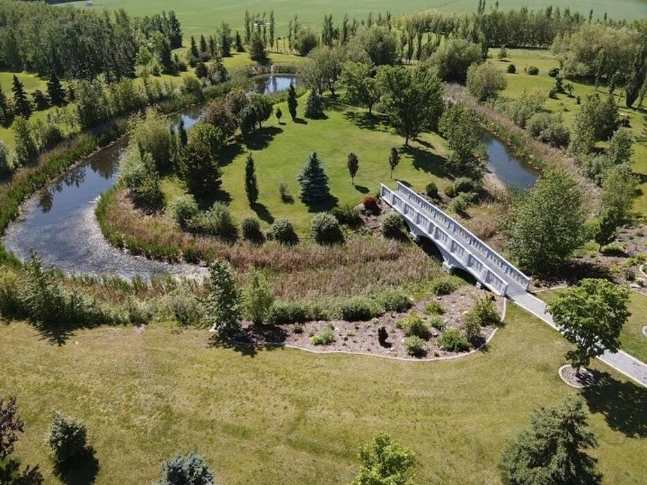 Images Wolf's Botanical Wedding Island