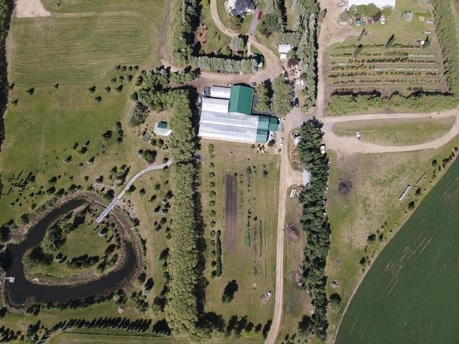 Images Wolf's Botanical Wedding Island