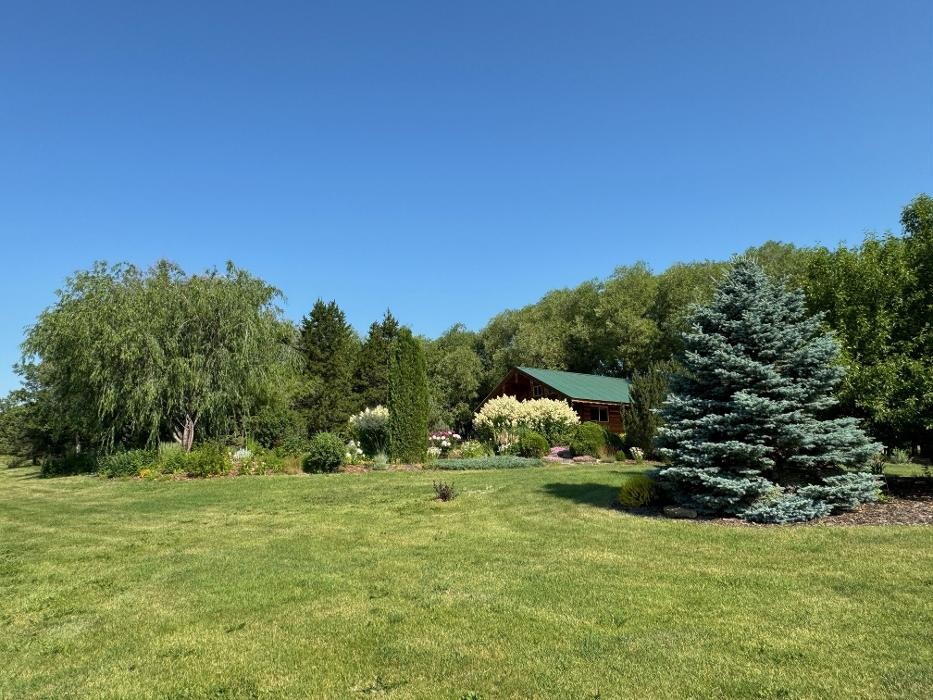 Images Wolf's Botanical Wedding Island