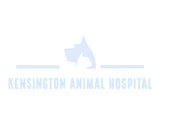 Kensington Animal Hospital Logo