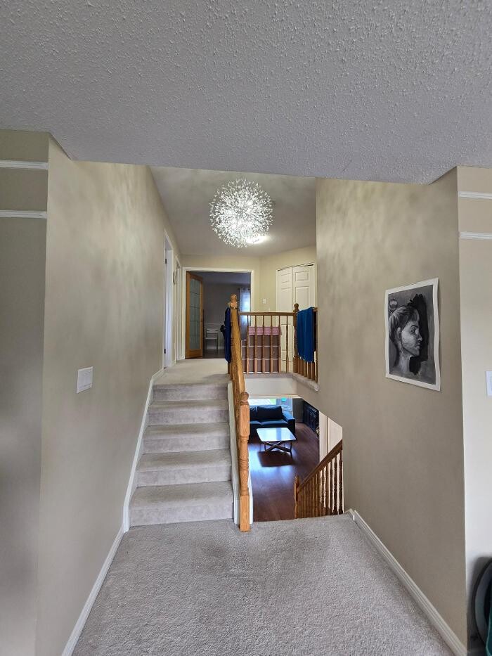 Images Phoenix Rising Property Management Inc
