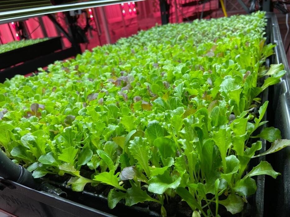 Images InoFarm inc.