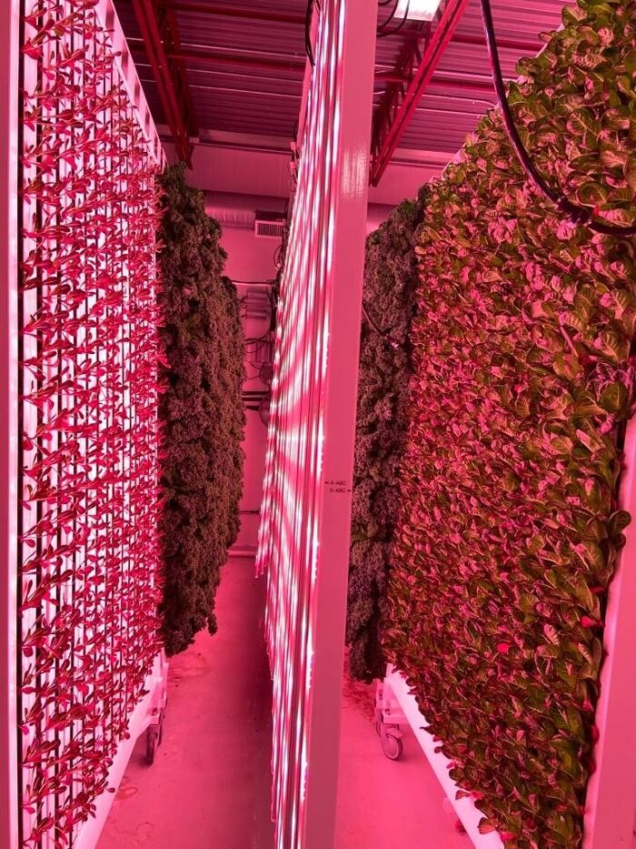 Images InoFarm inc.