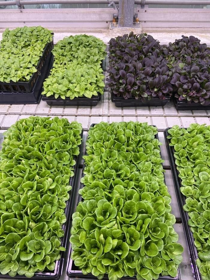 Images InoFarm inc.