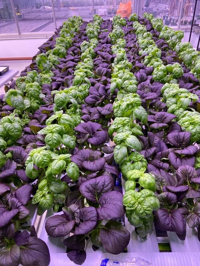 Images InoFarm inc.