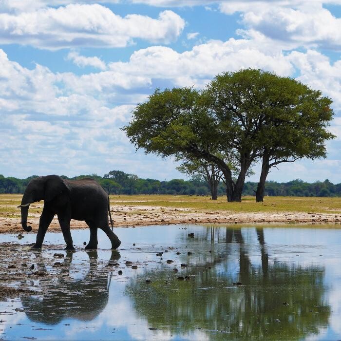 Images Wyndeavor Travel