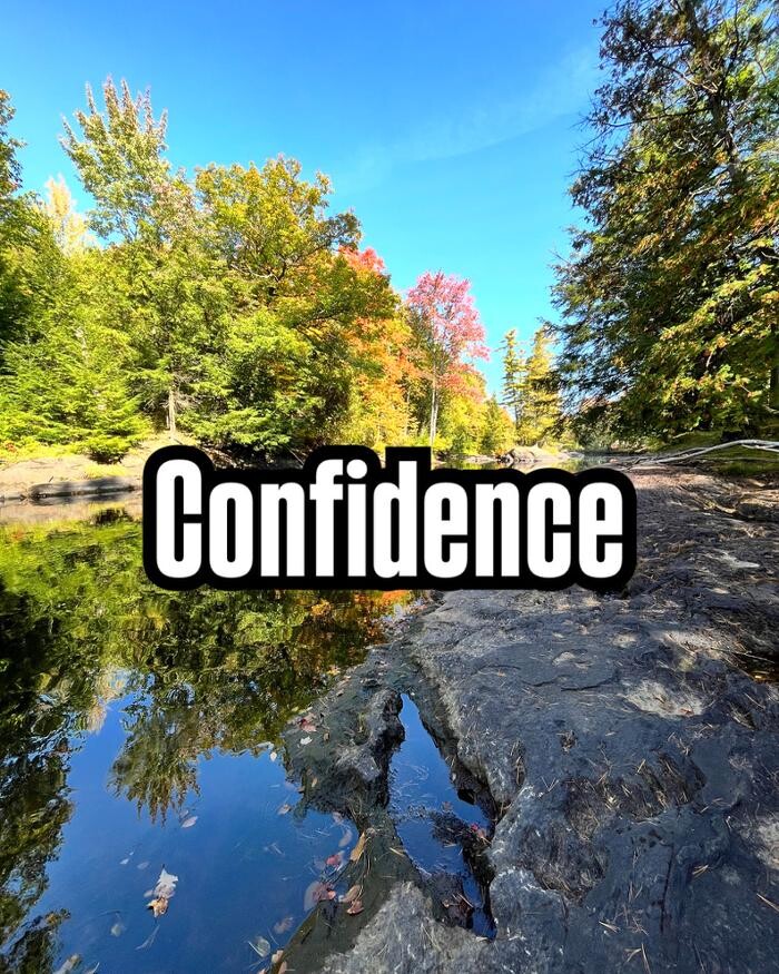 Images Lucidity Corp