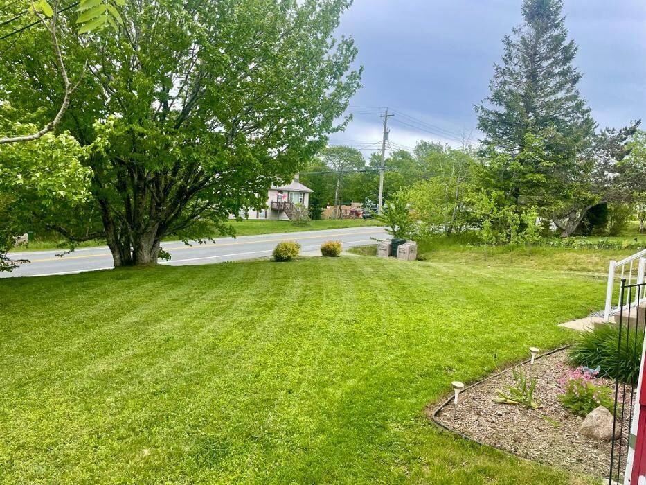 Images Brad's Tree Pro