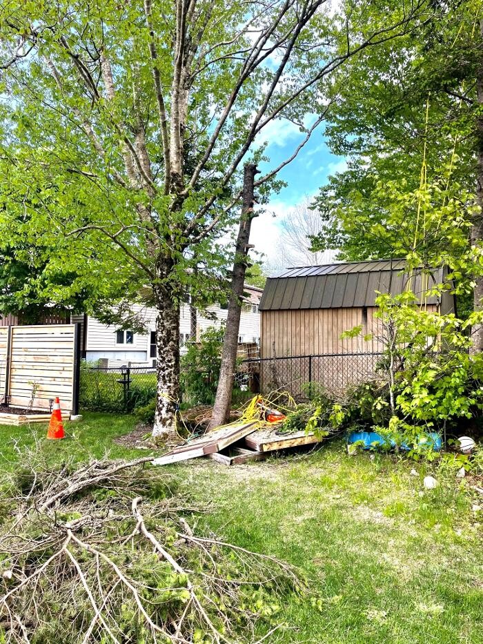 Images Brad's Tree Pro