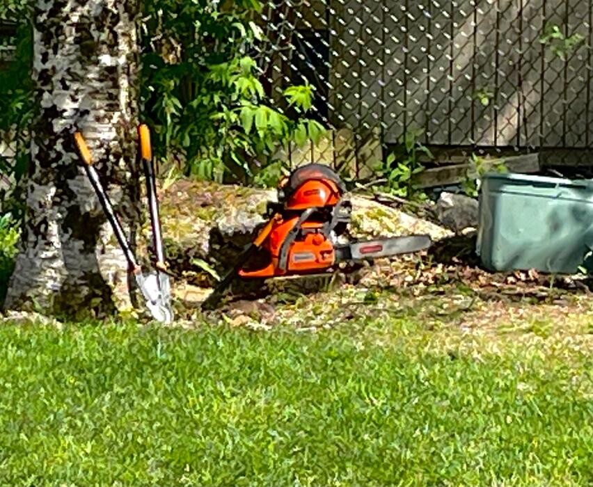 Images Brad's Tree Pro