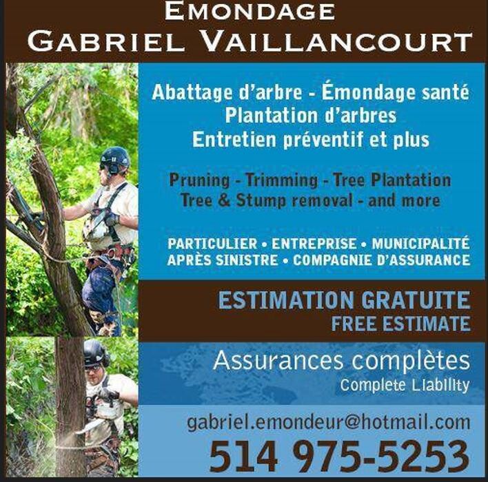 Images Émondage Gabriel Vaillancourt