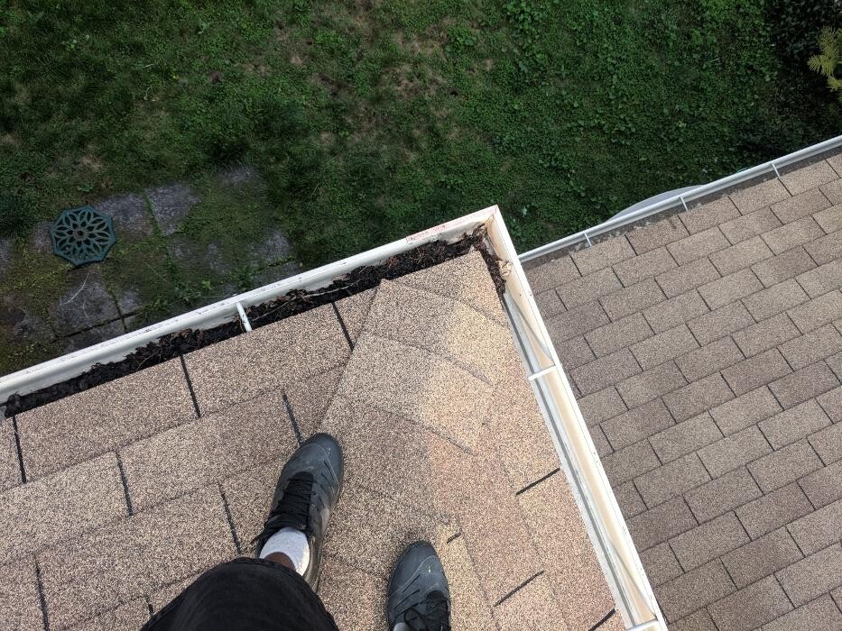 Images Catt Building Services