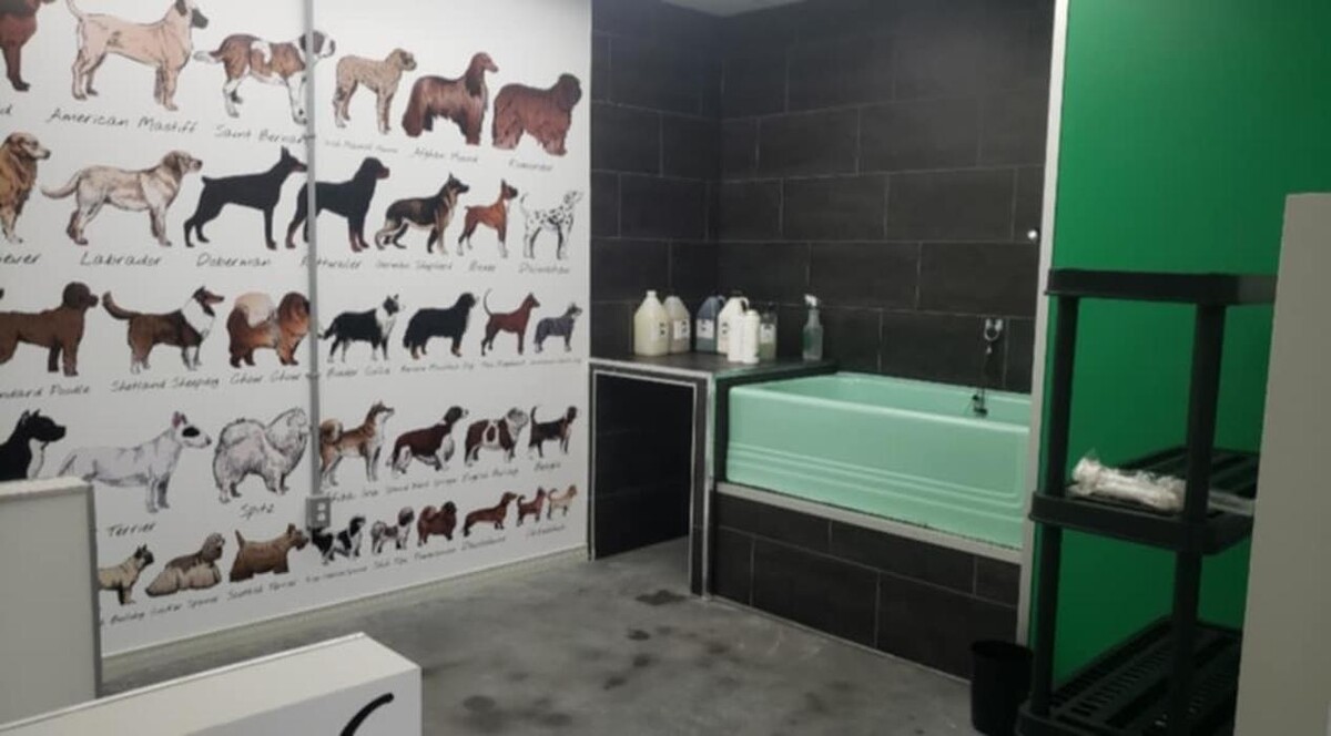 Images Salon de tonte Bio Canin