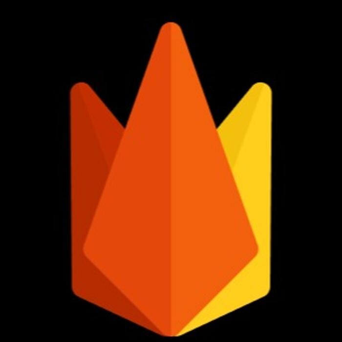 FireNet Designs Logo