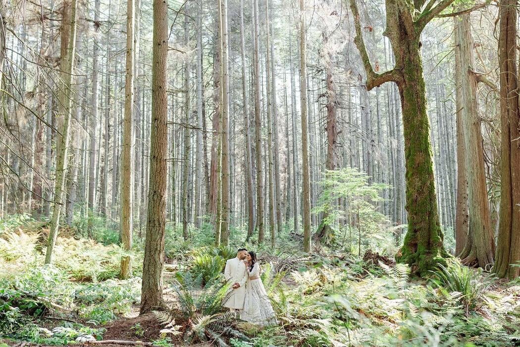 Images Beautiful Life Studios BC - Photo & Video
