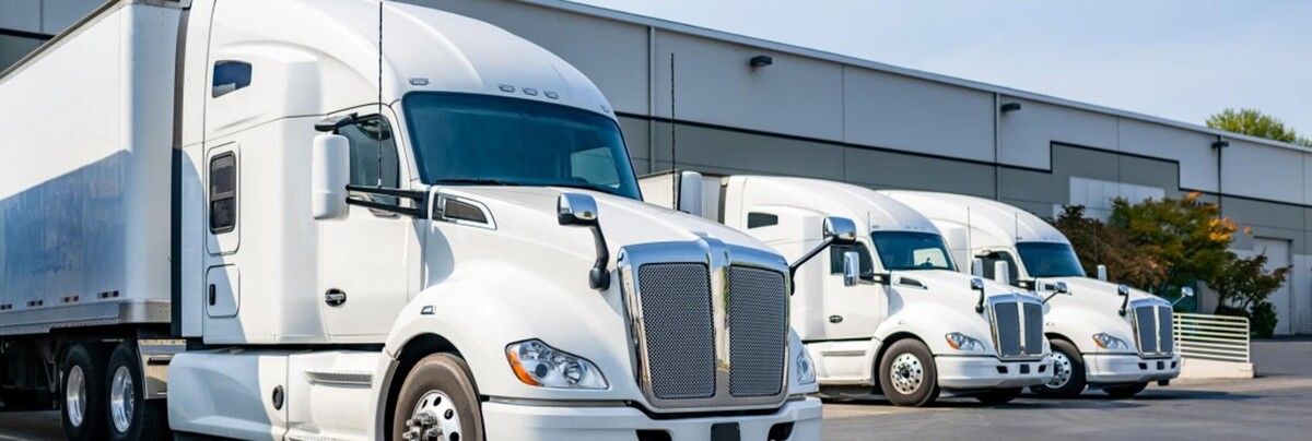 Images Canadian Preferred Moving - Whitby, ON