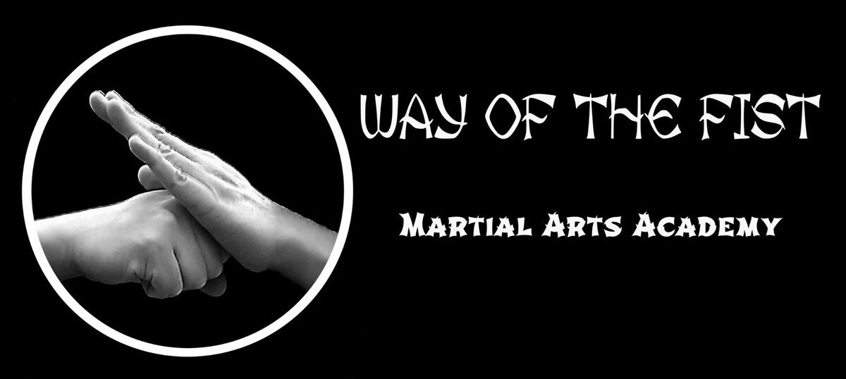 Images Way of the fist martial arts academy