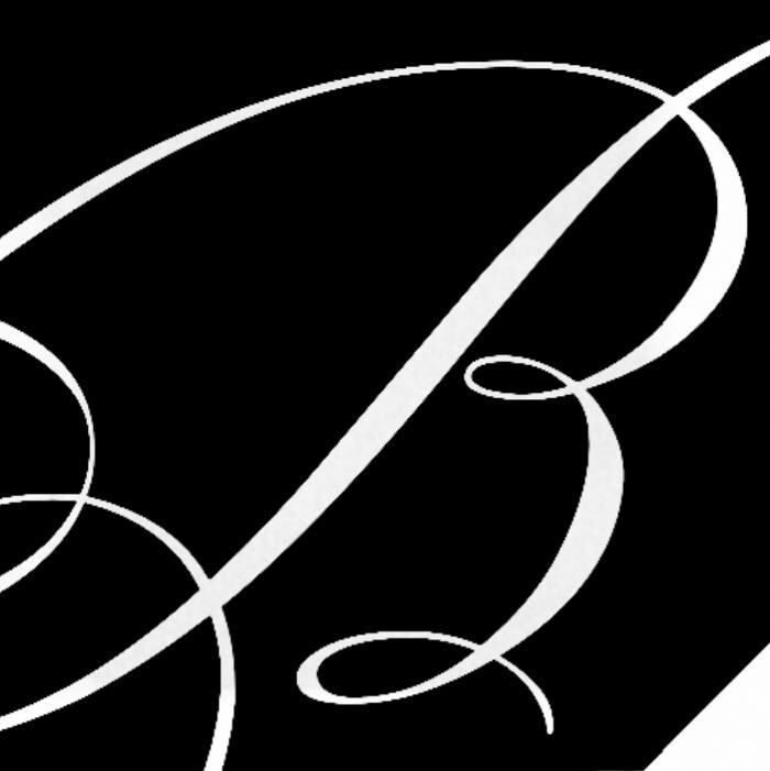 Bashi Homes Logo