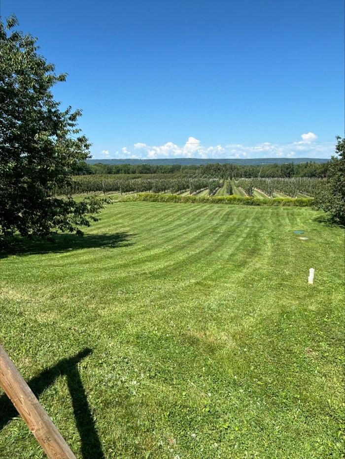 Images Stoddard Lawn Care