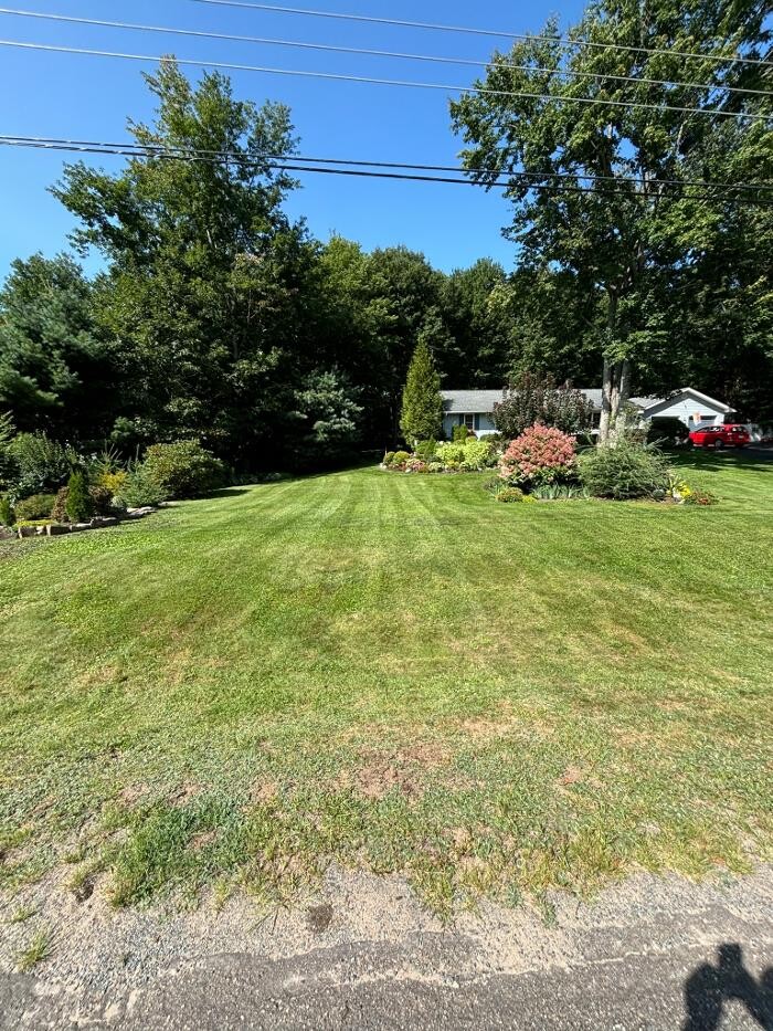 Images Stoddard Lawn Care