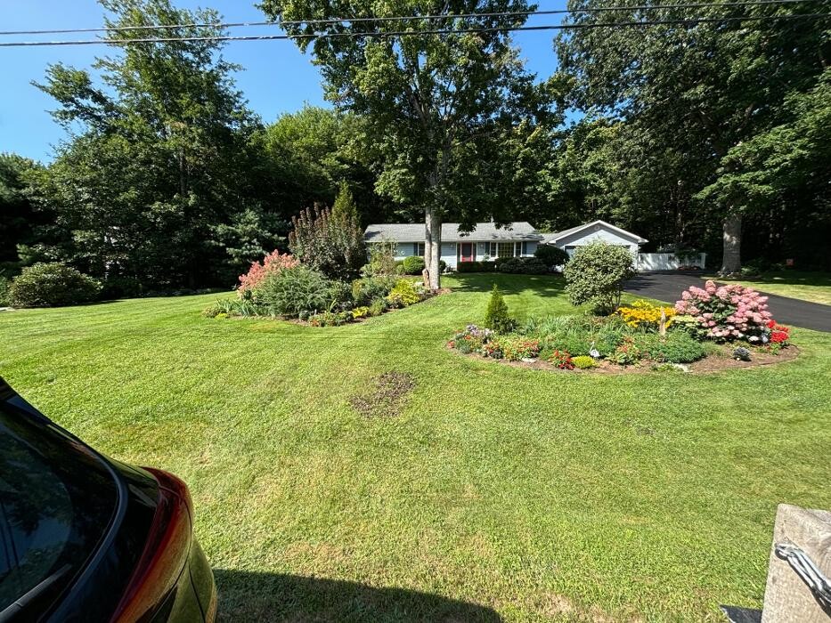 Images Stoddard Lawn Care
