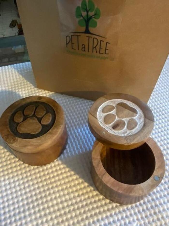 Images Petatree