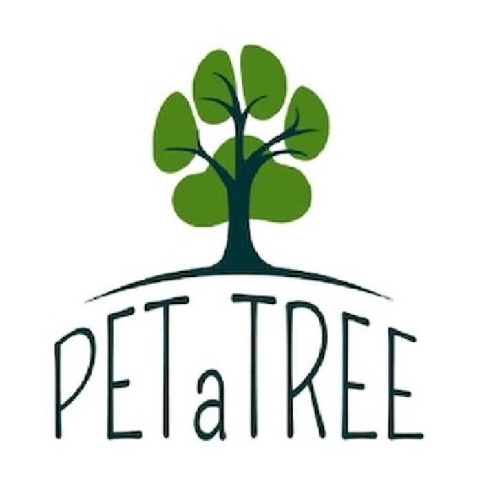 Petatree Logo