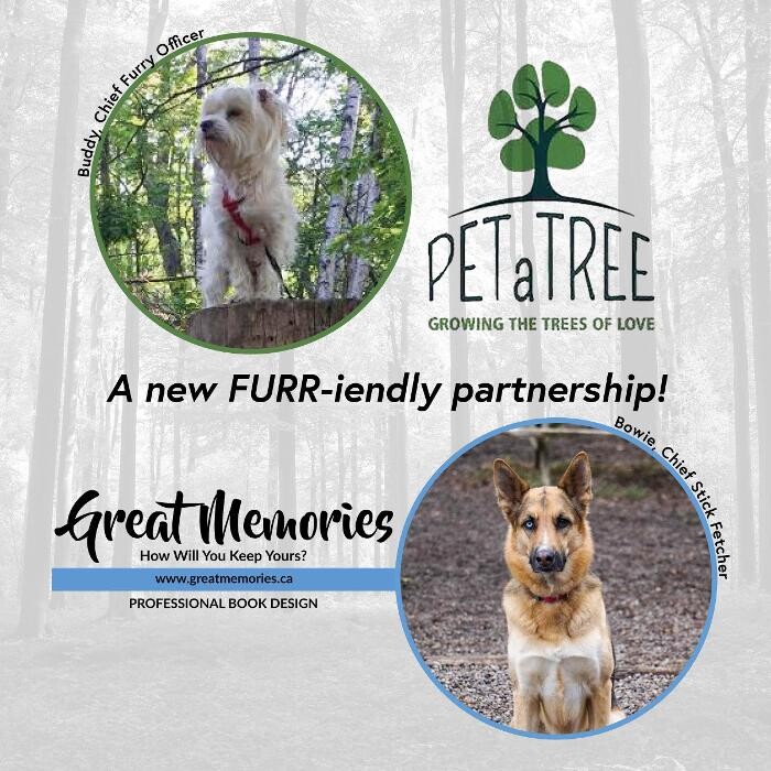 Images Petatree